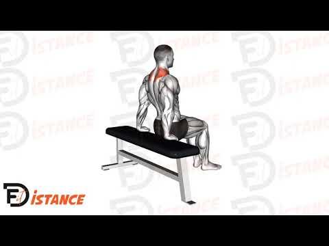 Dips scapulaires