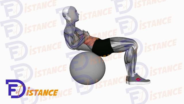 Crunch (sur Swiss Ball)