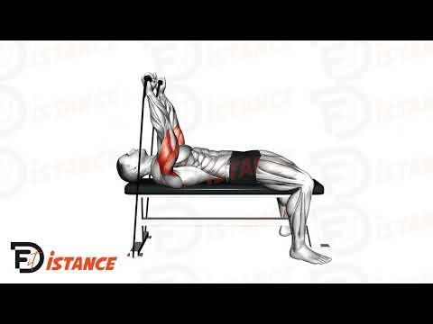 Barre au front aux élastiques (Skull crusher)