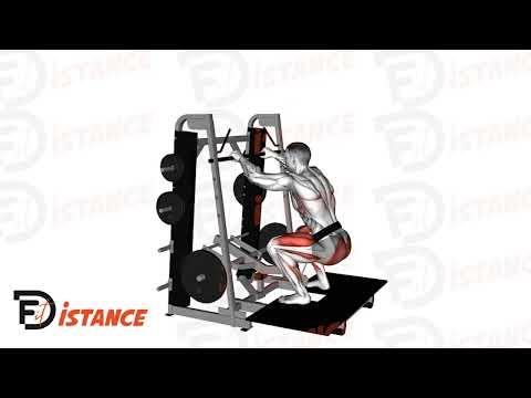Belt Squats