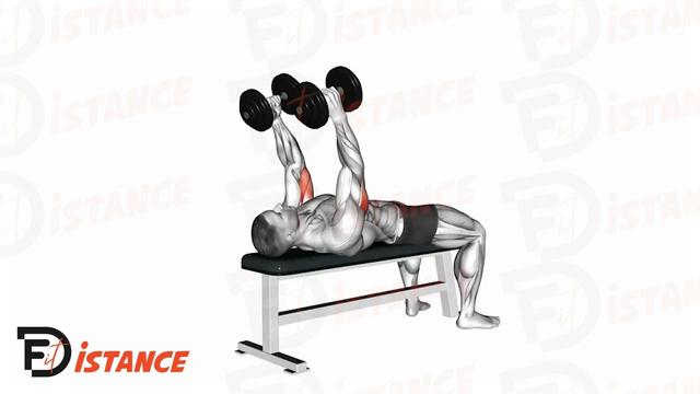 Extension des triceps allongé avec haltères