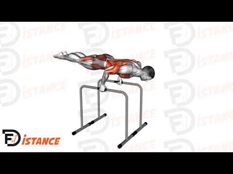 Dips en planche