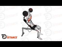 Exercice Barre au front sur banc incliné (Skull crusher)