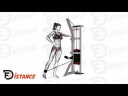 Exercice Abductions de hanche à la poulie