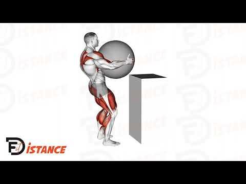 Atlas Stones (Strongman)