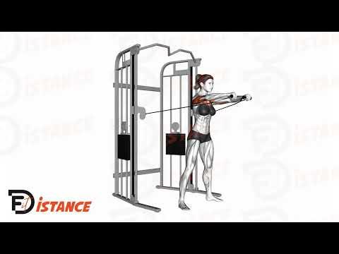 Chest press à la poulie