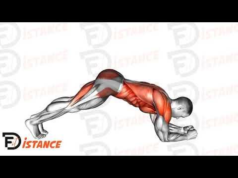 Gainage pike (Planche)