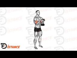 Exercice Curl biceps haltère du serveur
