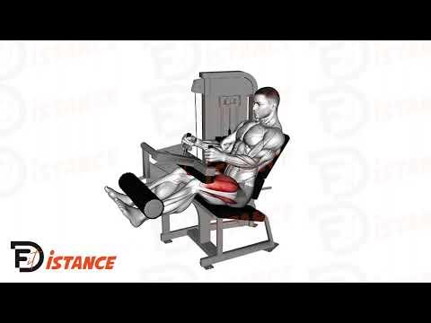 Leg Extension