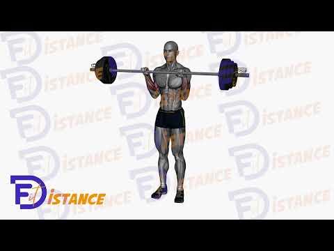 Curl inversé avec barre