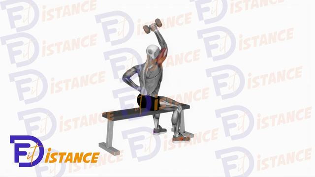 Extension unilatérale des triceps avec haltère en position assise au-dessus de la tête