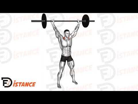 Overhead Shrugs à la barre
