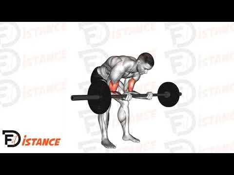 Curl concentré debout à la barre