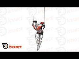 Exercice Dips sur anneaux