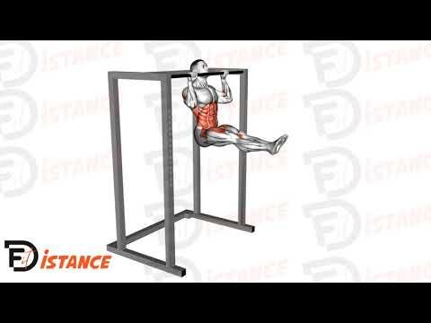 Tractions L-sit