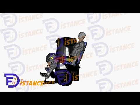 Flexion des ischio-jambiers en position assise (Leg curl assis)