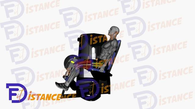 Flexion des ischio-jambiers en position assise (Leg curl assis)