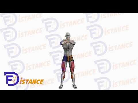 Squats au poids du corps