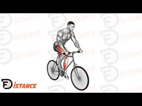 Vélo d'extérieur