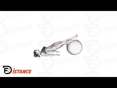 leg curl avec ballon (swissball)