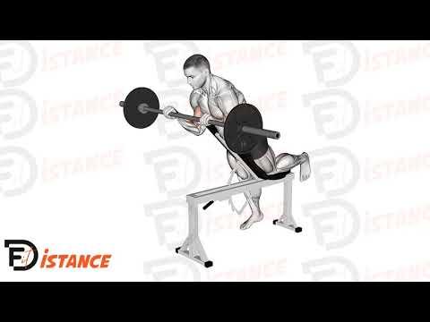 Curl spider pronation avec barre droite