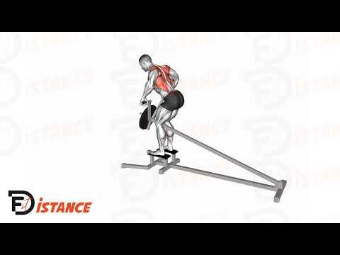 Rowing/Tirage en T avec barre
