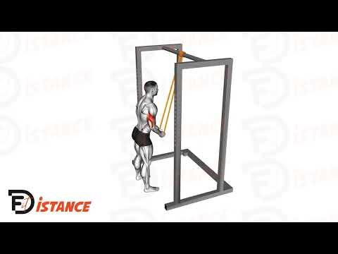Extensions des Triceps avec élastiques