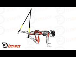Exercice Mountain Climbers au TRX