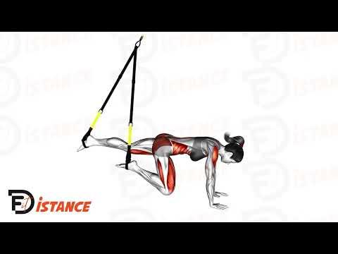 Mountain Climbers au TRX