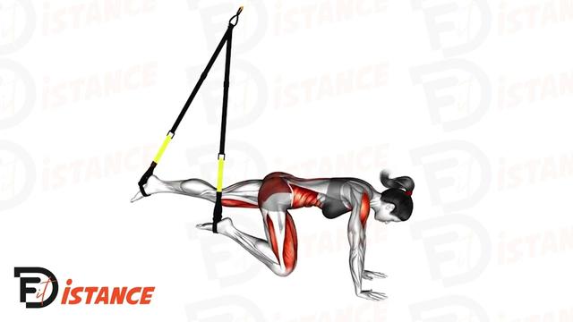 Mountain Climbers au TRX