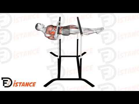 Front lever actif