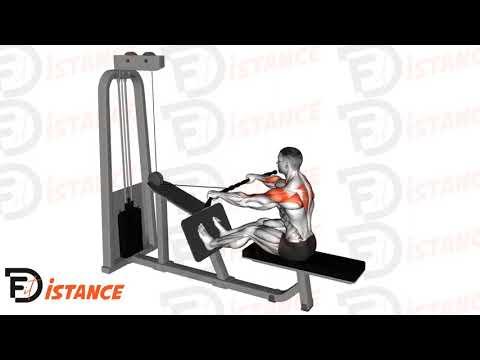 Rowing (tirage) pour l'arrière des épaules à la poulie