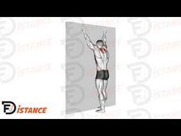 Exercice Spider Crawls