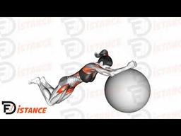 Exercice Roulette à abdos avec ballon (Swiss Ball)