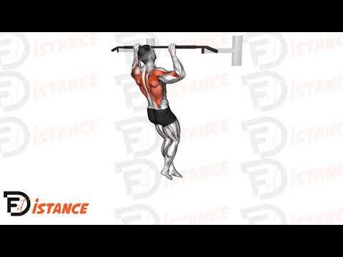 Tractions prise pronation