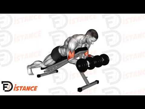Curl spider pronation avec haltères
