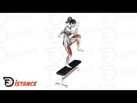 Step-up avec relevé de genou