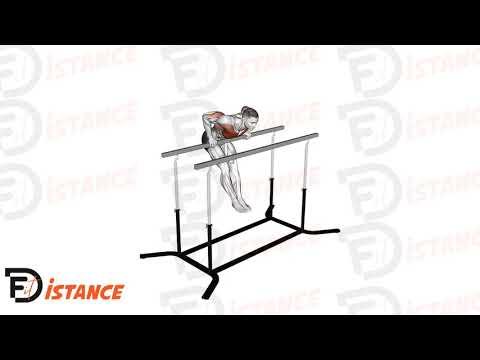 Dips sur barre droite