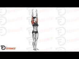 Exercice Posture du guerrier (Virabhadrasana II)