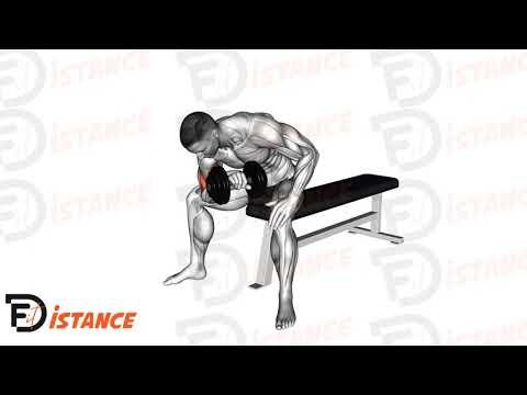 Curl concentré assis en prise pronation