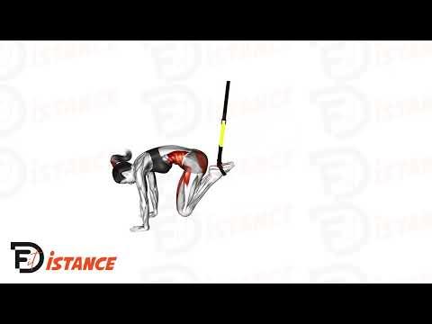Jack Knife TRX