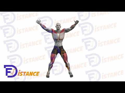 Jumping jacks - Exercice Jumping jacks en vidéo