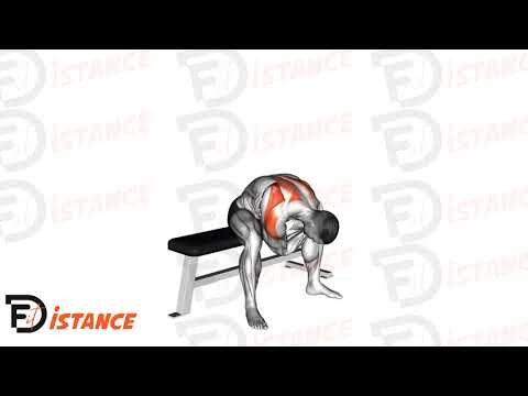 Étirement des rhomboïdes assis - Exercice Étirement des rhomboïdes assis en vidéo