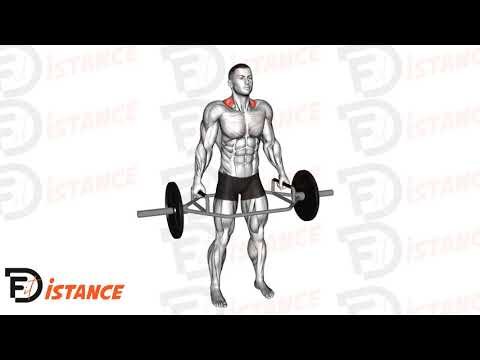 Shrugs à la trap bar - Exercice Shrugs à la trap bar en vidéo
