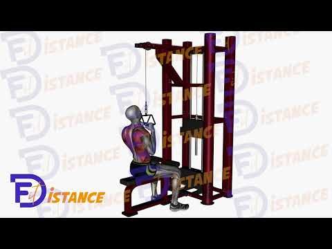 Tirages vertical à la poignée en V - Exercice Tirages vertical à la poignée en V en vidéo