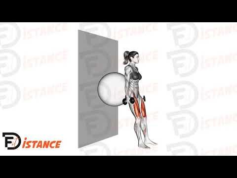 Squat avec haltères (dos sur ballon contre le mur) - Exercice Squat avec haltères (dos sur ballon contre le mur) en vidéo