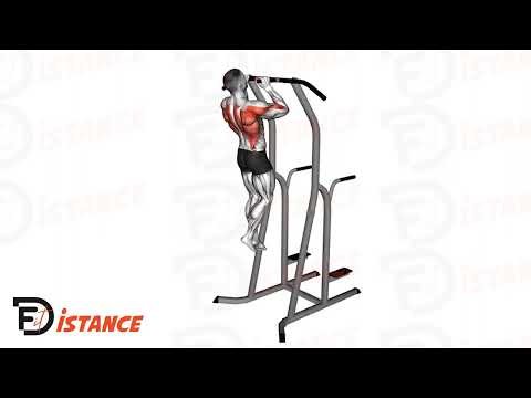 Traction à la barre (prise neutre) - Exercice Traction à la barre (prise neutre) en vidéo