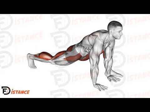 Ouverture du hanche statique mains au sol (échauffement) - Exercice Ouverture du hanche statique mains au sol (échauffement) en vidéo