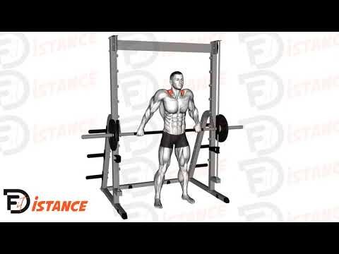 Shrugs prise large à la guidée (Smith machine) - Exercice Shrugs prise large à la guidée (Smith machine) en vidéo