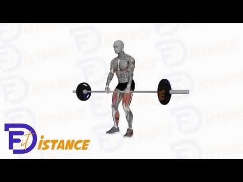Soulevé de terre à la barre - Exercice Soulevé de terre à la barre en vidéo